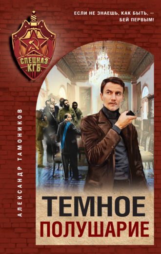 Александр Тамоников, Темное полушарие